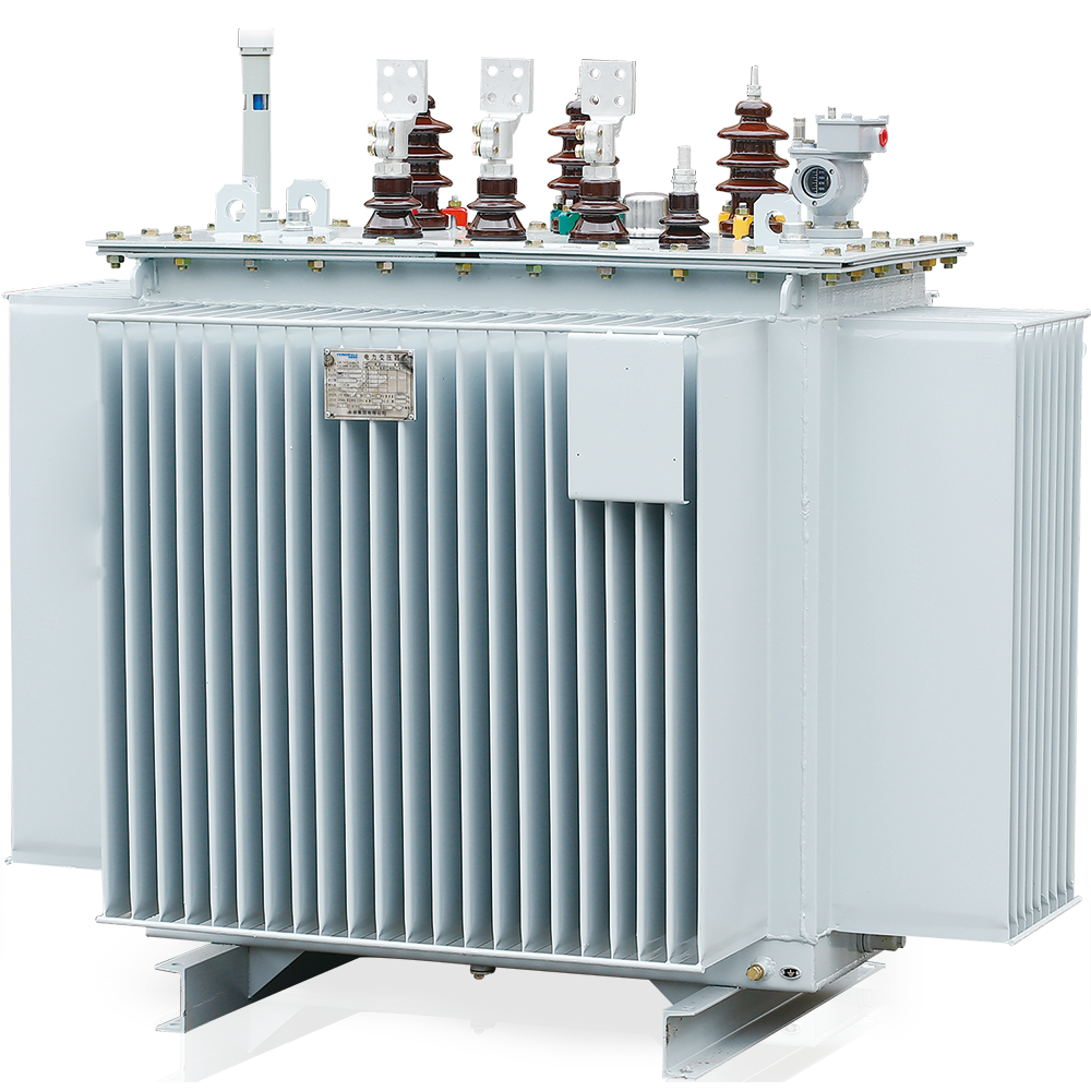 S13-M-30-2500/10 Fully Sealed Distribution Transformer